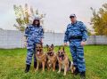 Рядом на отдыхе и на службе большая семья кинологов из Подольска
