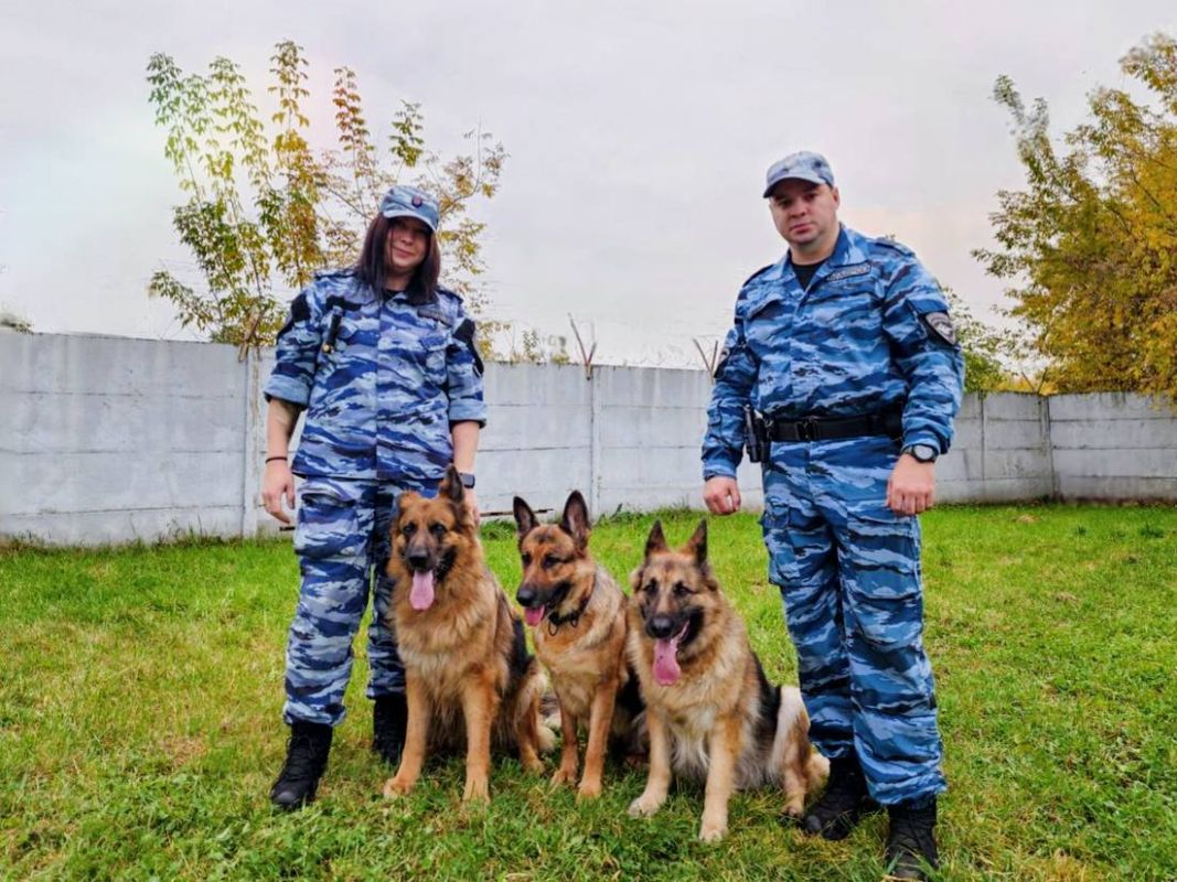 Рядом на отдыхе и на службе большая семья кинологов из Подольска