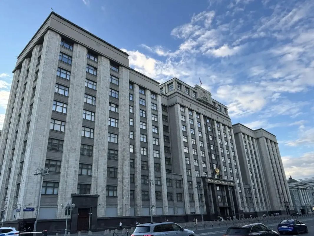 Госдума приняла законы о расширении социальных гарантий для участников СВО и добровольцев