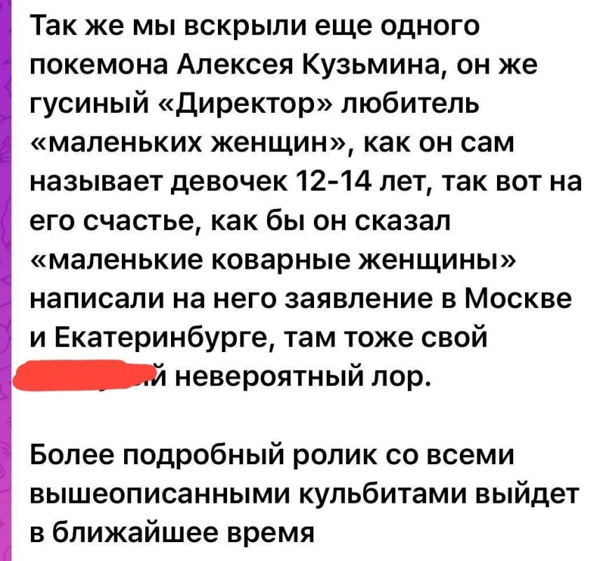 Екатерина Мизулина: Вот, что пишет блогер, которая еще весной опубликовала первое расследование об этой педофильской сети
