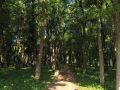 Доброе утро, Подольск!. Сегодня +23 °C, ветер 3 м/с, давление 745 мм. Умеренно тепло, без осадков