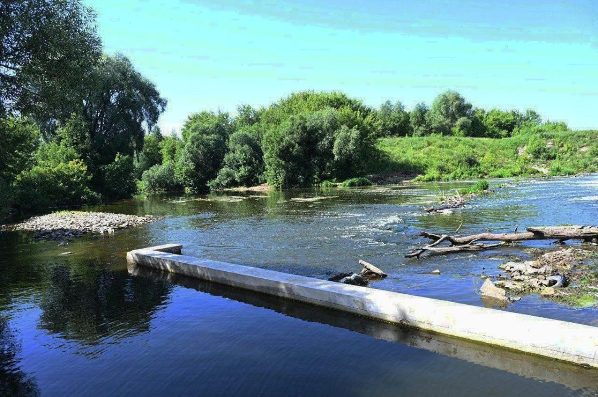 Экология: чистые водоёмы и порядок в округе Экология: чистые водоёмы и порядок в округе