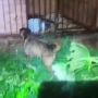 ������ ��������� ������� ����� � ������������ ������������ � 6 �������� ������� �� ����� ���������������� ������� ����������