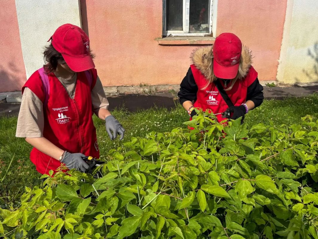 Электростальская молодежь на страже чистоты и порядка! Электростальская молодежь на страже чистоты и порядка!