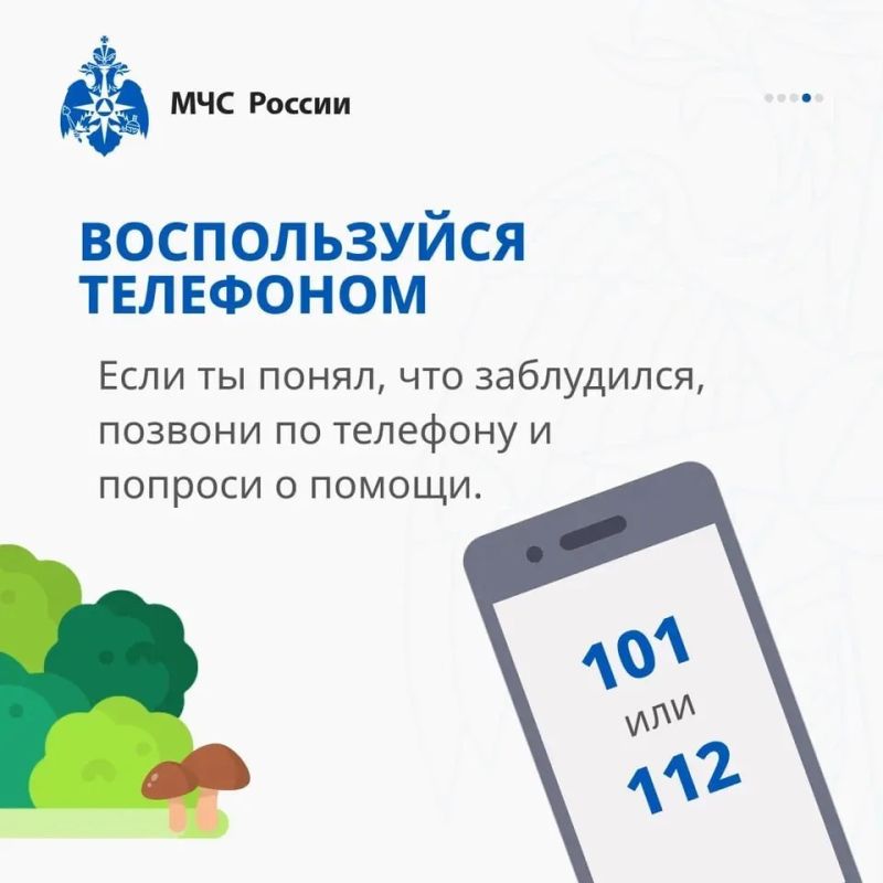 Заблудился в лесу? Главное, не паниковать Заблудился в лесу? Главное, не паниковать