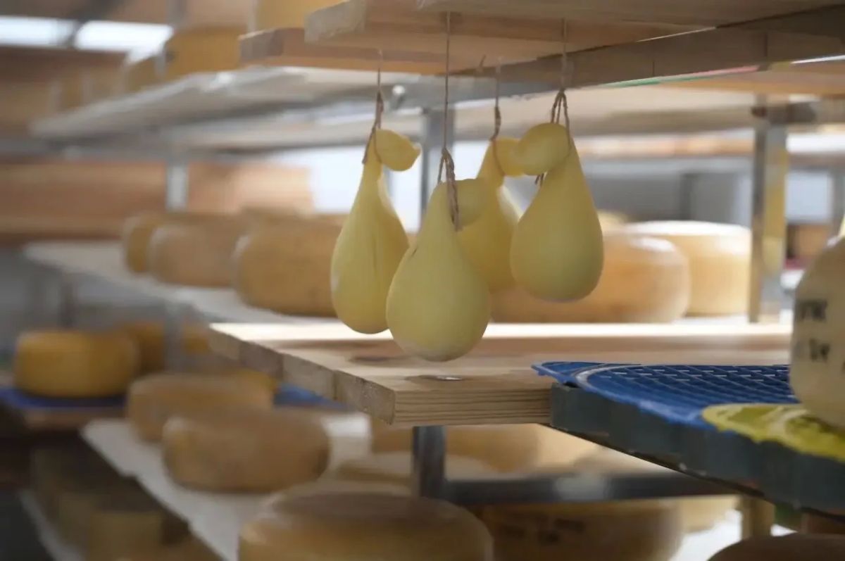 Продукция сыроварни «МурМилка» вновь заслужила высокую оценку авторитетного жюри! Продукция сыроварни «МурМилка» вновь заслужила высокую оценку авторитетного жюри!