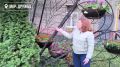 Юлия Купецкая: Важен прямой диалог с жителями
