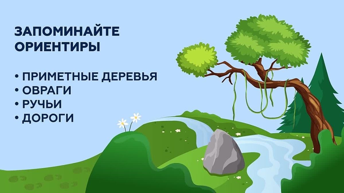 Жителям Подмосковья напомнили о правилах безопасности в лесу