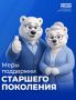 Андрей Булгаков: Поддержка старшего поколения и людей с особыми потребностями — одно из приоритетных направлений народной программы «Единой России» 2021-2026 года