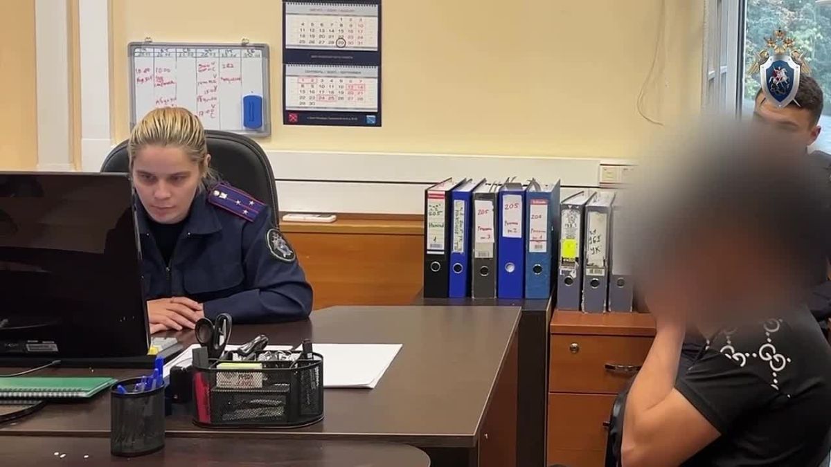 Житель Подмосковья предстанет перед судом по обвинению в хулиганстве в подмосковной электричке