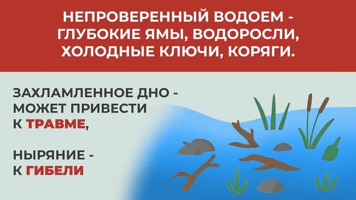 Напоминаем, что в Домодедово нет разрешенных мест для купания