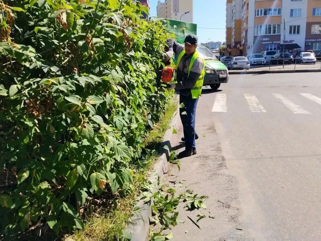 Максим Красноцветов: В Ивантеевке проходит субботник! Силами местных коммунальных предприятий сразу на нескольких территориях ведутся работы по благоустройству Максим Красноцветов: В Ивантеевке проходит субботник! Силами местных коммунальных предприятий сразу на нескольких территориях ведутся работы по благоустройству