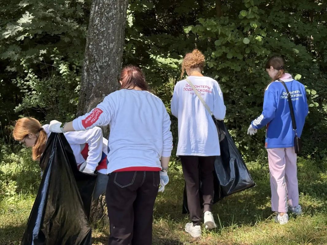 Волонтёры Королёва очистили берег озера Торфянка Волонтёры Королёва очистили берег озера Торфянка