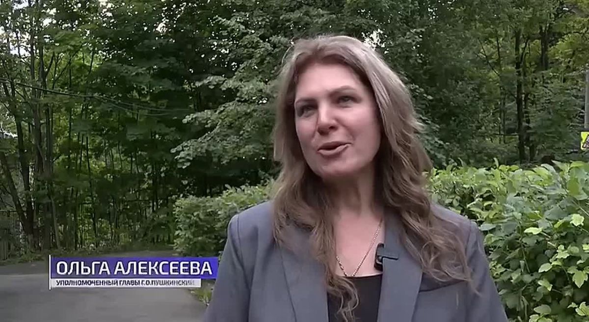 Уполномоченный главы округа Пушкинский Ольга Алексеева, депутаты Совета депутатов округа Дмитрий Кульков и Михаил Сухарев, руководитель Пушкинского отделения «Молодой Гвардии» Максим Ядыкин встретились с родителями...