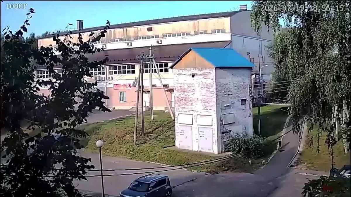 В Подмосковье две бойцовые собаки напали на ребенка