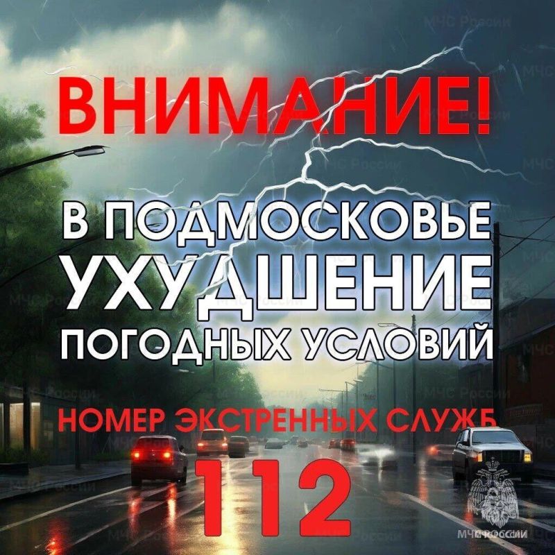 В ближайший час в Московской области ожидаются дождь и гроза с порывистым ветром