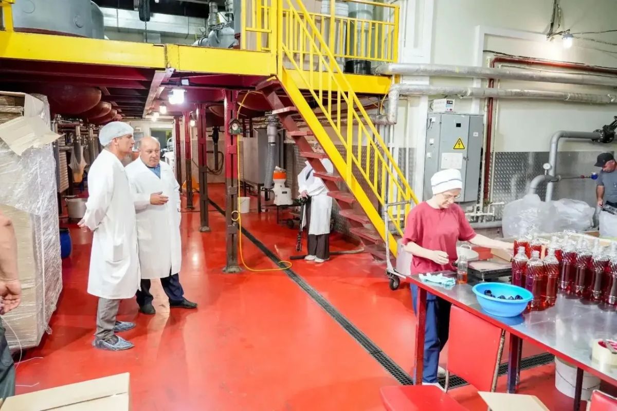 В Сергиево-Посадском округе компания «Терра» наладила производство сиропа из топинамбура В Сергиево-Посадском округе компания «Терра» наладила производство сиропа из топинамбура