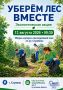 Уберём лес вместе: акция в Ступино