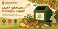 Яблоки и бахчевые на переработку: распорядитесь излишками урожая экологично
