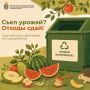 Приглашаем домодедовцев принять участие в акции «Сдай яблоки и бахчевые на переработку»