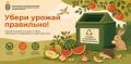 Осень — пора щедрых даров: в Подмосковье стартует экологическая акция по сбору плодово-бахчевых излишков