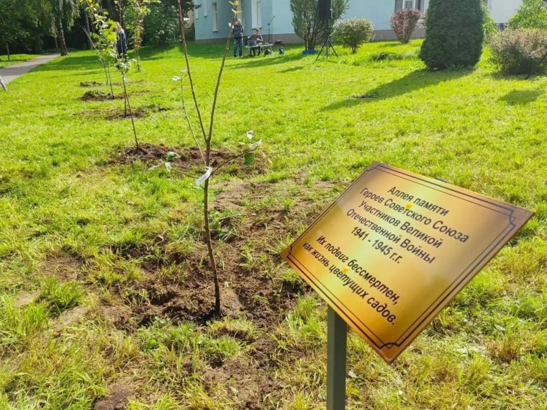 Памятные акции прошли в посёлке Монино Памятные акции прошли в посёлке Монино