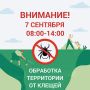 7 �������� � 8:00 �� 14:00 � ����� �������� � ������ ����� ����������� ��������� ���������� �� ������