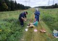 Змея укусила 60-летнюю женщину, когда та собирала грибы в Подмосковье