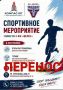 Футбольное мероприятие в микрорайоне Южный переносится ввиду погодных условий