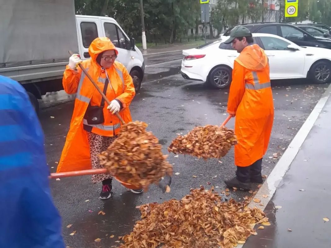 Юлия Купецкая: В Подмосковье пришла осенняя прохлада, а вместе с ней осадки и опавшая листва Юлия Купецкая: В Подмосковье пришла осенняя прохлада, а вместе с ней осадки и опавшая листва