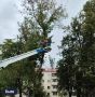� ��������� ������������ �������� ������ �� ������������ ��������