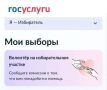 Сервис «Волонтер на избирательном участке» начал свою работу