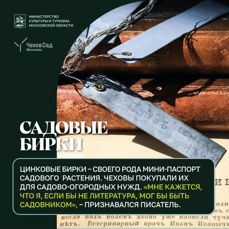 Неочень видные ценности. За уютным фасадом усадьбы в Мелихово скрывается нечто большее, чем просто история Неочень видные ценности. За уютным фасадом усадьбы в Мелихово скрывается нечто большее, чем просто история