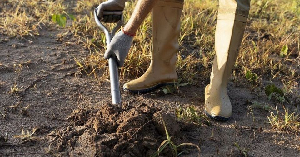 ����� ������� ������: ������ ��������� � ���, ��� ������������� �����