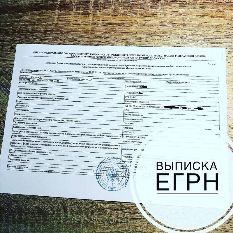 Как быстро и удобно получить выписку из ЕГРН