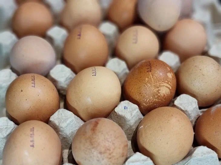 Как хранить куриные яйца, чтобы не протухли: полезные советы