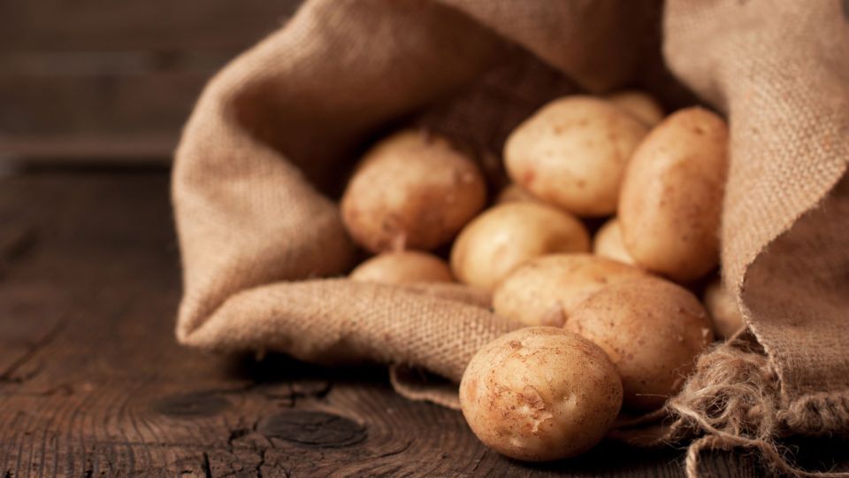 Этим сортам картофеля нет равных: устанете собирать урожай