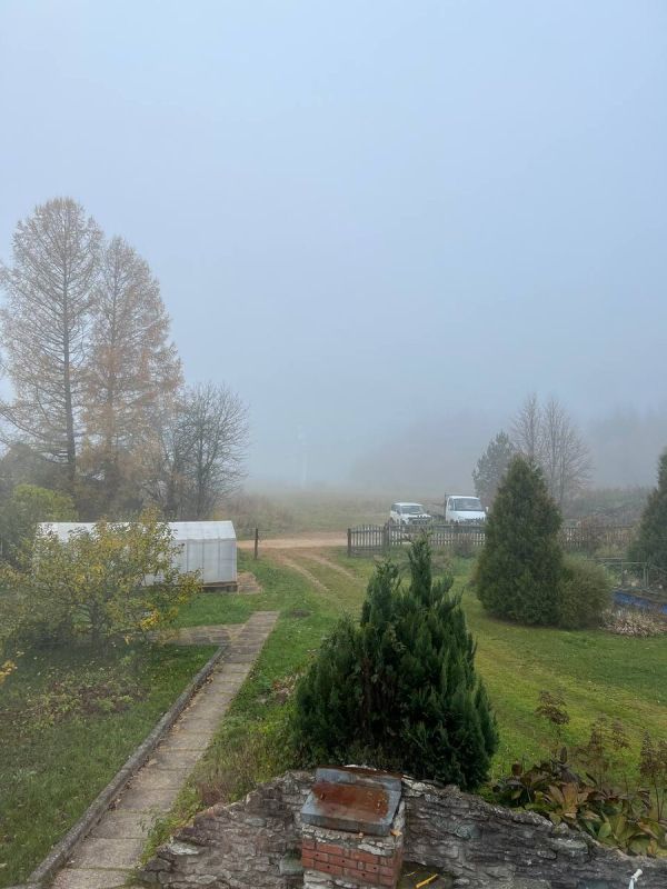 Как неудачи с картошкой стоили фермерам 1,5 миллиона рублей этим летом