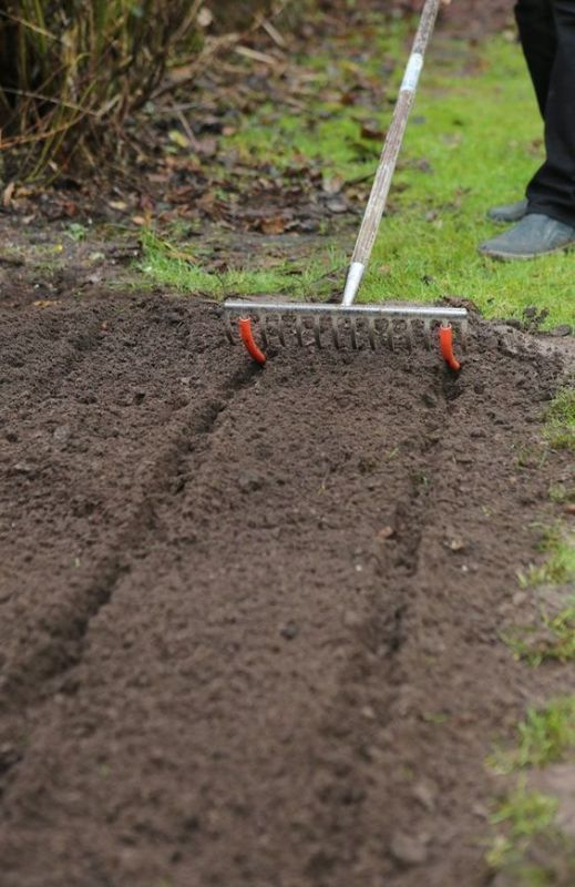 Почему стоит отказаться от перекопки огорода: три значимые причины
