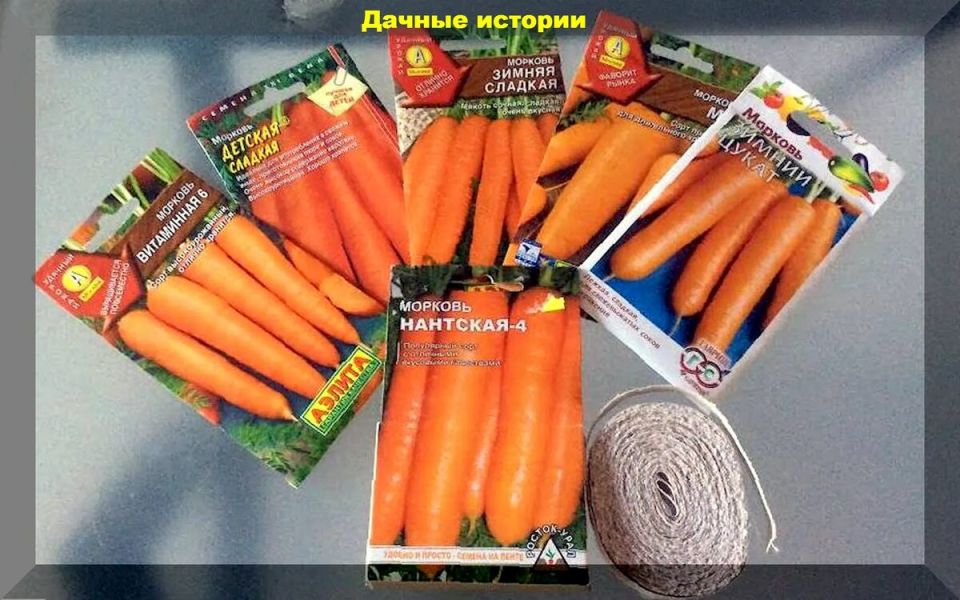 Как достичь идеального урожая моркови: лучшие советы и секреты посева