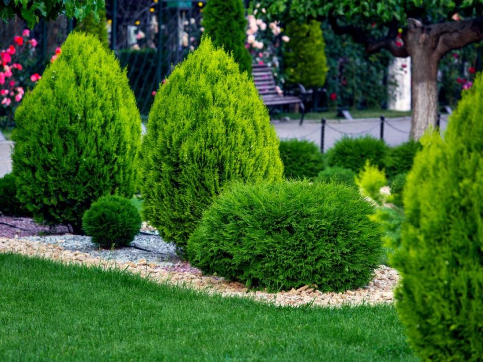 Как освежить свой сад: 25 уникальных идей для креативного цветника