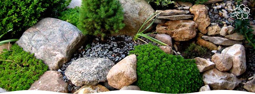 Рокарии: искусство сочетания камней и природы на вашем участке