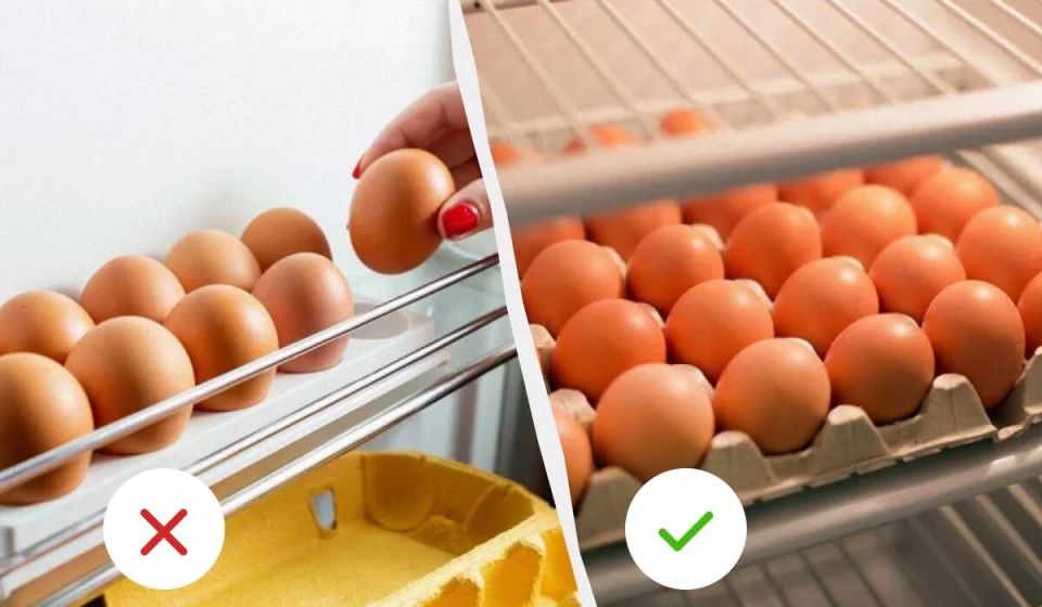 Как правильно хранить яйца: секреты свежести и полезные советы