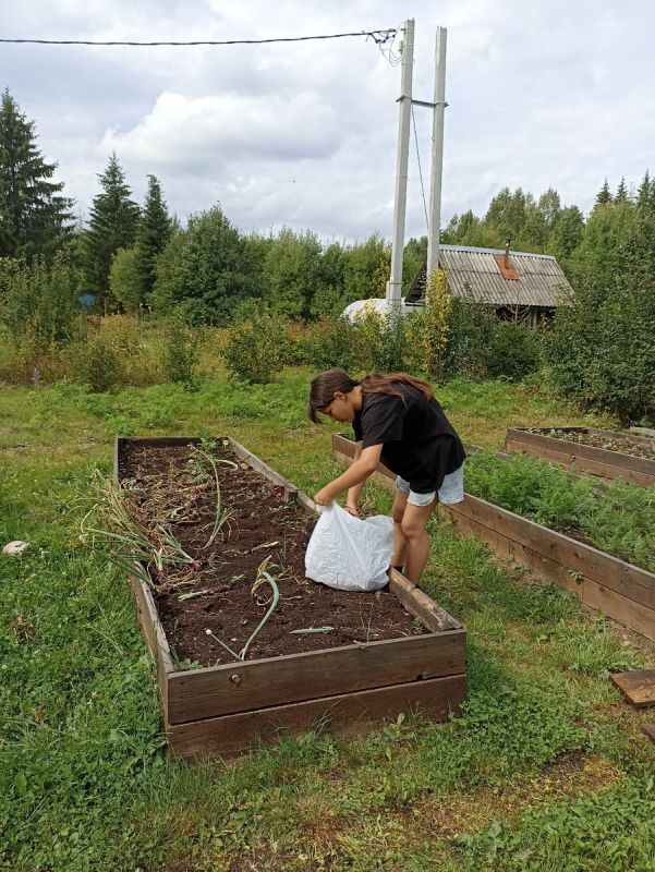 Как дача дарит радость: свежие овощи и семейные заботы