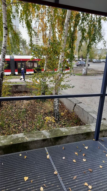 Как подработка на пенсии открыла новые горизонты