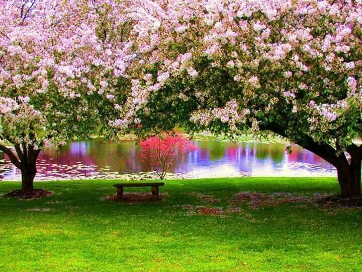 На пути к минимализму: как освободить разум от негативных мыслей