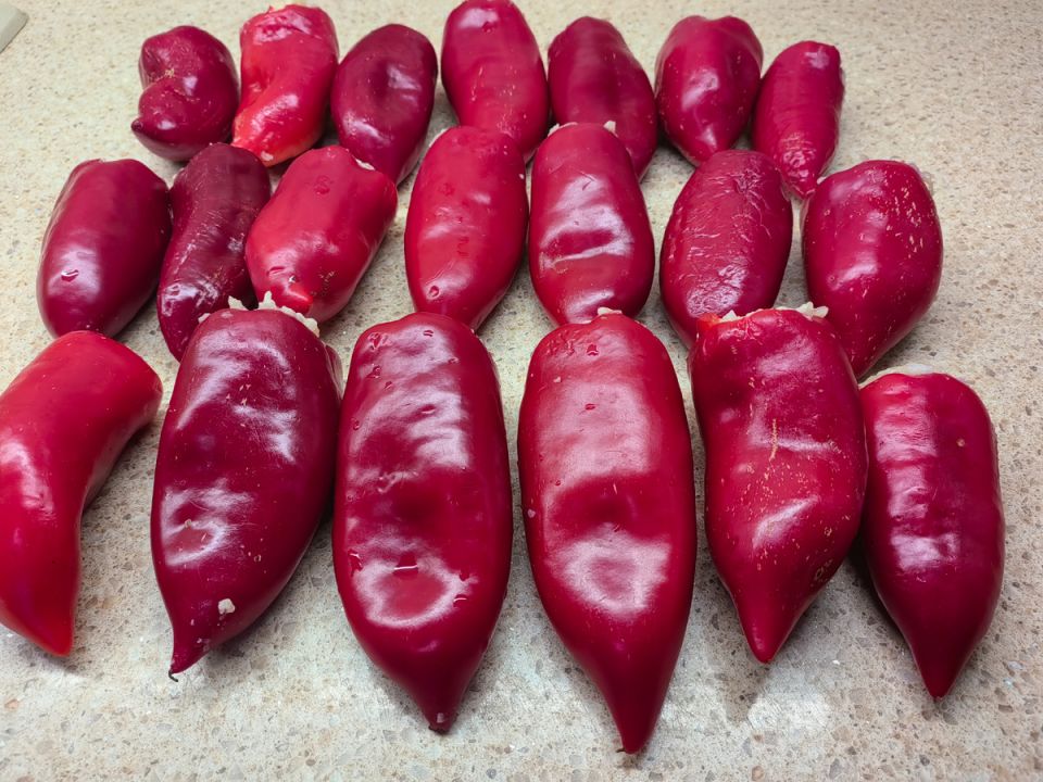 Фаршированные перцы: секреты идеального блюда и хитрости, которые не оставят равнодушными