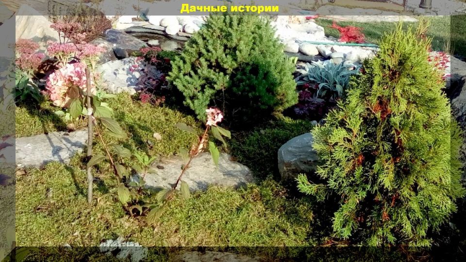 ������ ���������� �������: �������� ������ �� ����� � ���������