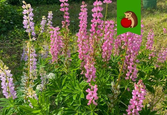 ������ ������ - ��������� ����� ��� ������ ���� � 2025 ����