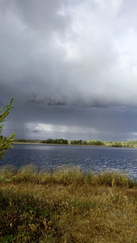 ��������� ���������� �����: ��� ���� ������ ���� ��������� ������������